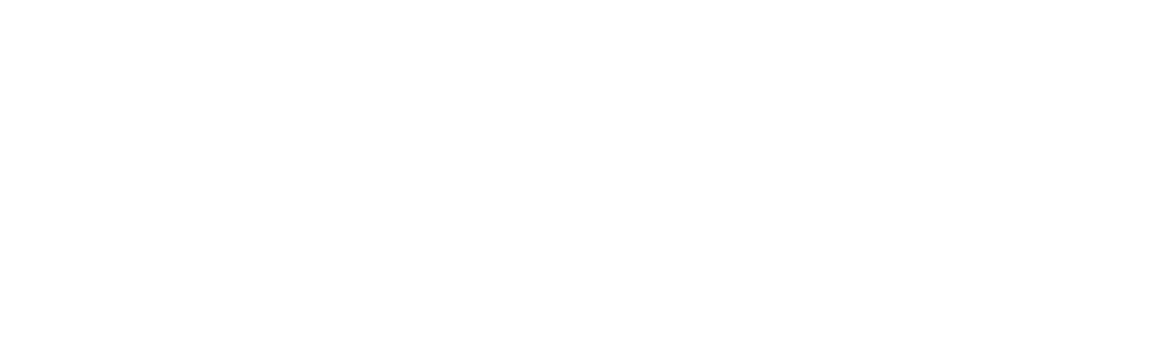 Logo weiss